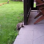 Goscinne Ewa Nowicka * Frombork