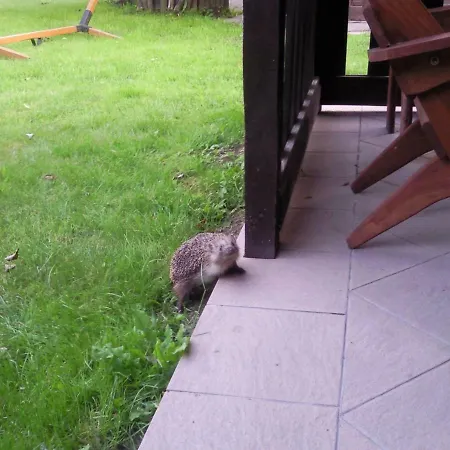 Goscinne Ewa Nowicka * Frombork