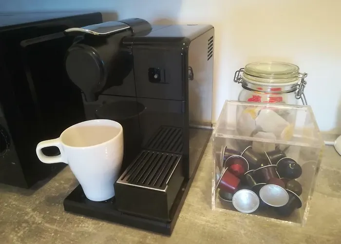 Goscinne Ewa Nowicka * Frombork